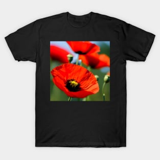 Close Up in a Field of Red Poppies (MD23Mrl009) T-Shirt